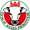Logo_Coalvi 1